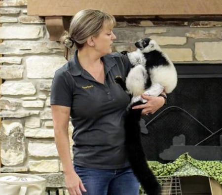 Family Program: Wild Animals!