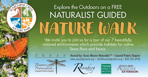 FREE Monthly Nature Walk at Seabourne Creek Nature Park