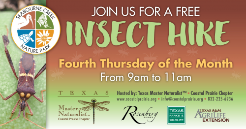 FREE Insect Hike Thursday at Seabourne Creek Nature Park