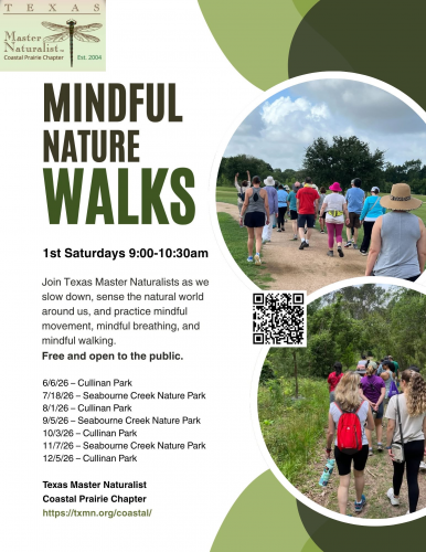 Mindful Nature Walks