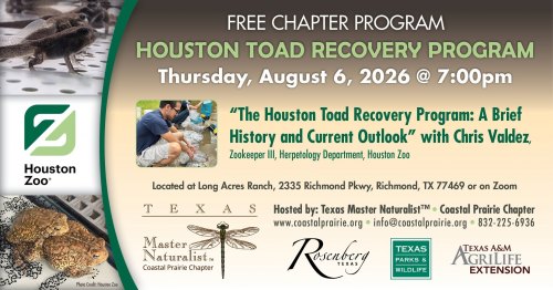 Free Chapter Program: Houston Toad Recovery Program