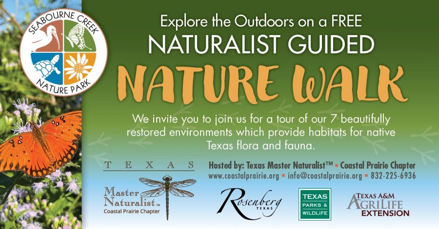 FREE Monthly Nature Walk at Seabourne Creek Nature Park