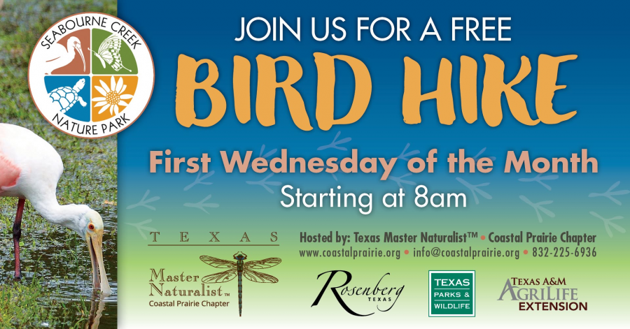FREE Monthly Bird Hike First Wednesdays October through May