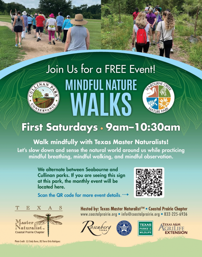 Free Mindful Nature Walk Sept 5th at Seabourne Creek Nature Park