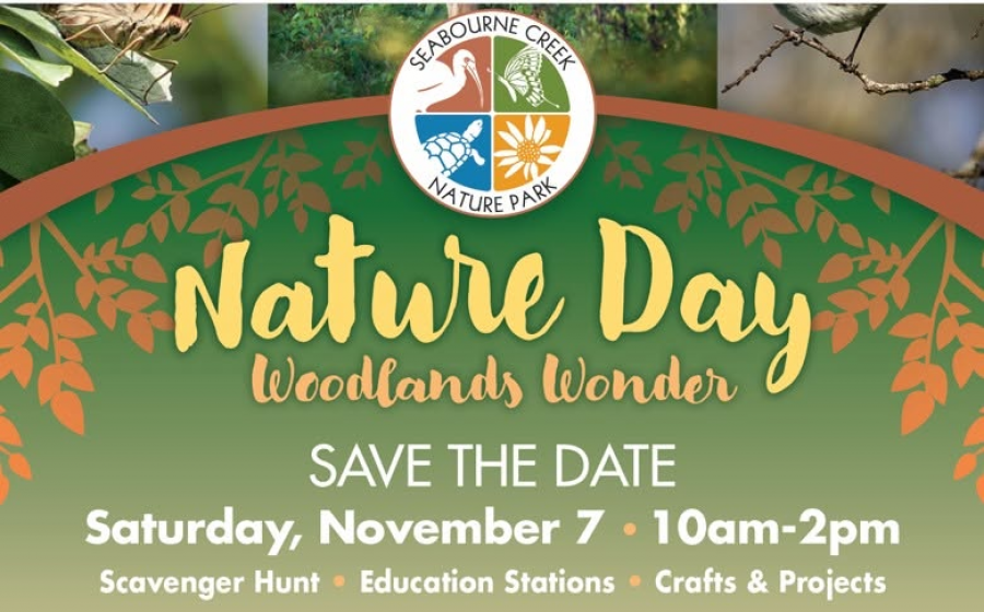 Woodland Wonders Nature Day