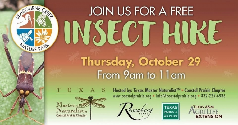 FREE Insect Hike and Bioblitz