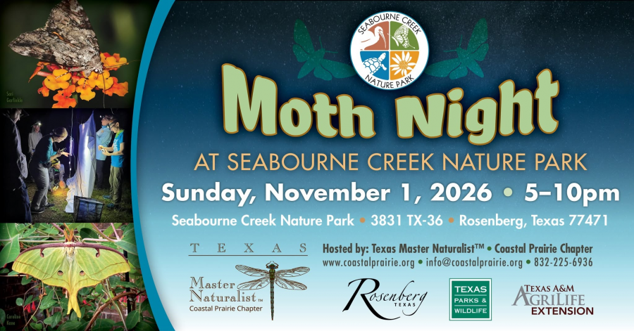 Moth Night at Seabourne Creek Nature Park