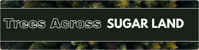 Trees Across Sugar Land