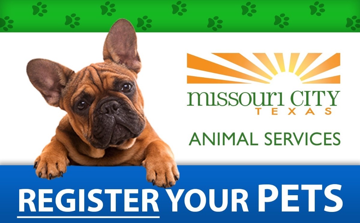 Do You Have To Register Your Dog With The City