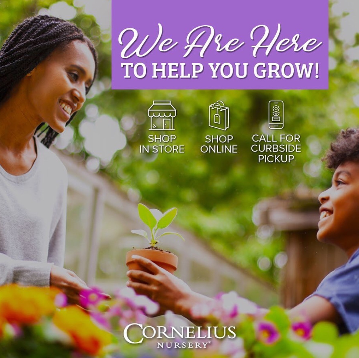 Cornelius Nursery in Sugar Land