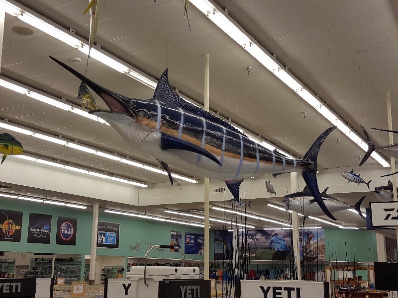 fishing tackle unlimited