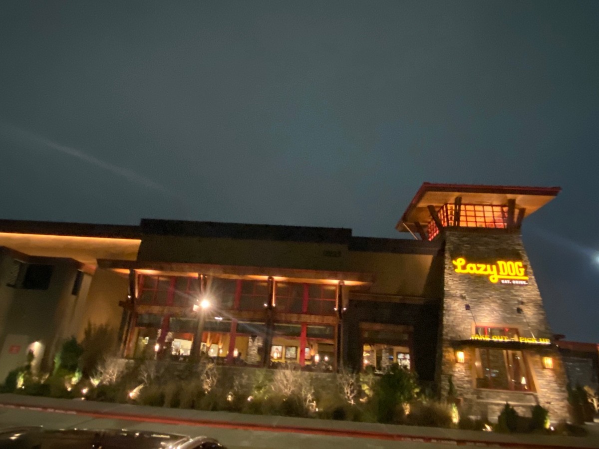 Lazy Dog in the City of Stafford at the Grid